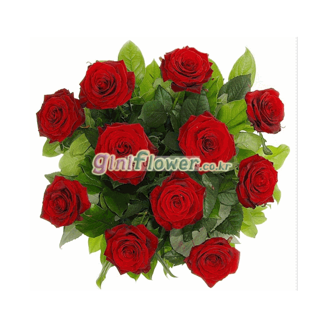 (러시아) 11송이 grand roses
